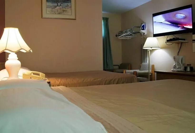Blue Jay Motel