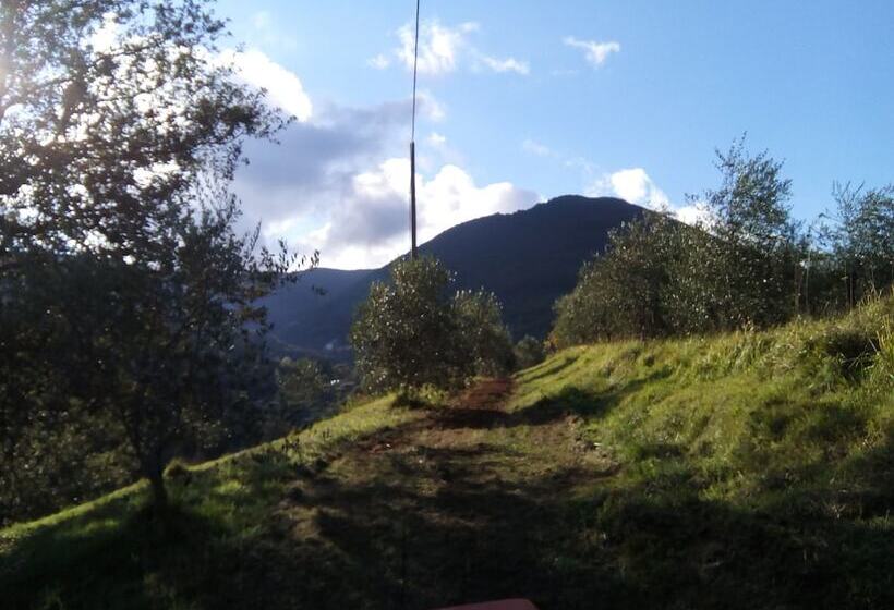 호텔 Agriturismo Locanda Del Papa