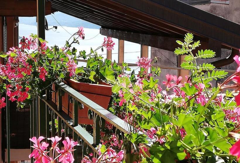 בית מלון כפרי Bed And Breakfast Campino