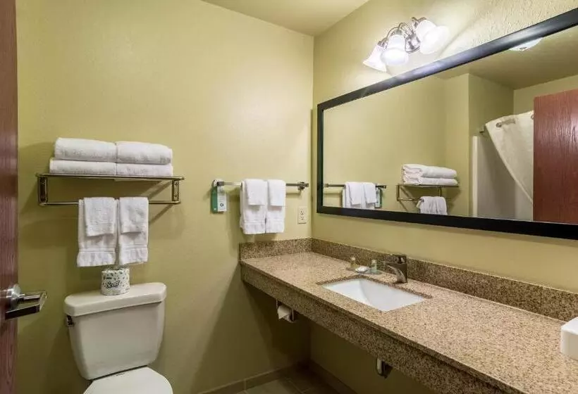 Cobblestone Hotel & Suites   Harborcreek