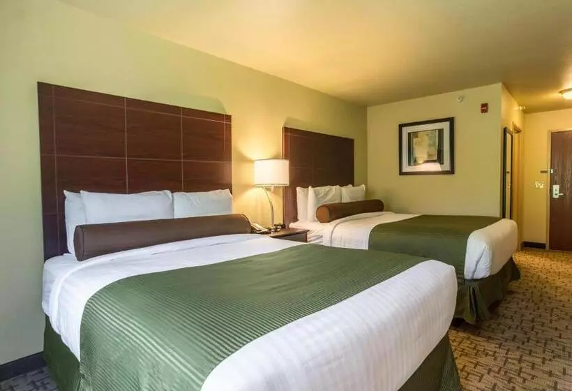 Cobblestone Hotel & Suites   Harborcreek