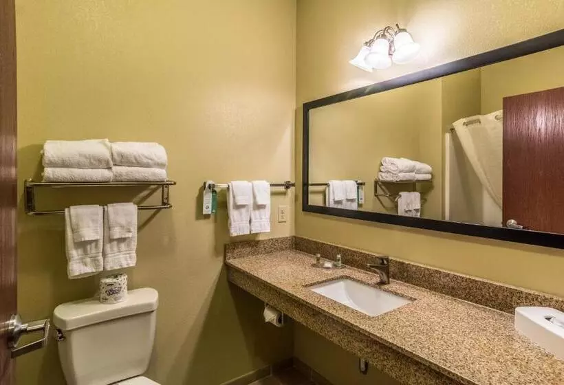 Cobblestone Hotel & Suites   Harborcreek
