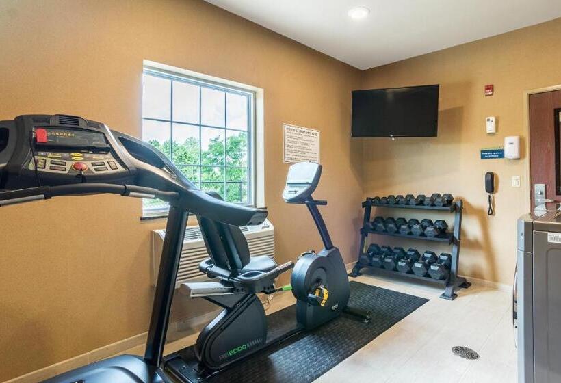 Cobblestone Hotel & Suites   Harborcreek