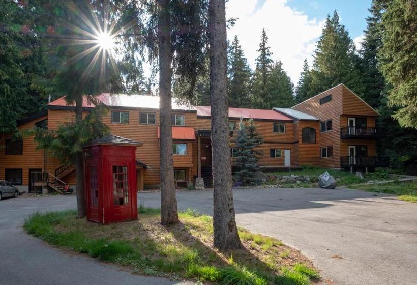 酒店 Rams Head Inn