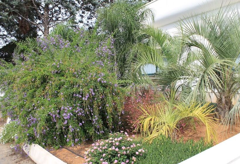 בית מלון כפרי Salenthouse