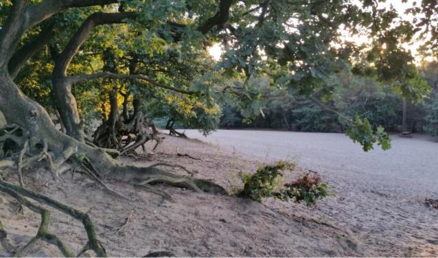 ホテル Udens Duyn