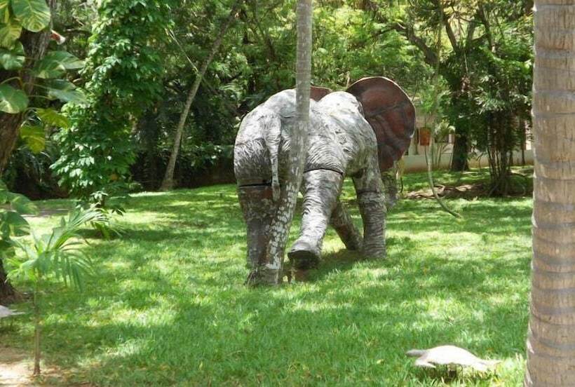 Отель White Elephant Sea Lodge