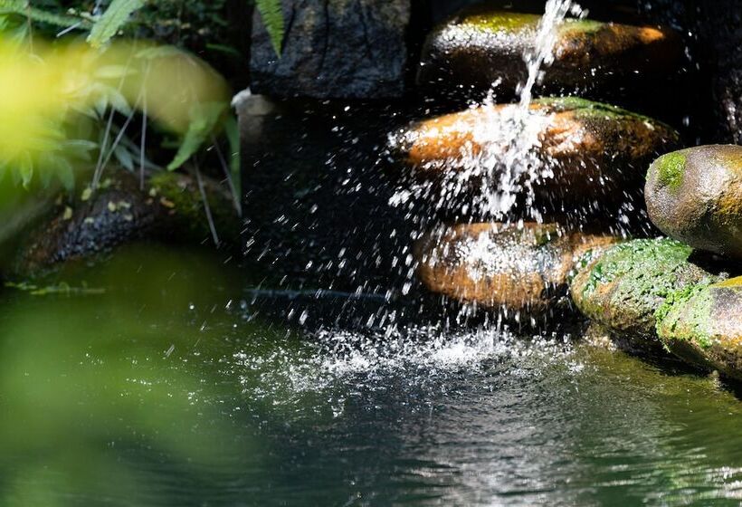 酒店 Jun Bo Xuan Boutique