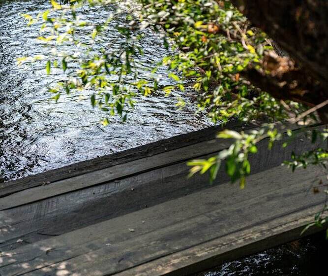 酒店 Jun Bo Xuan Boutique