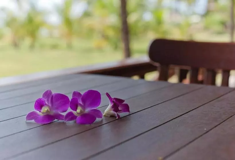 Hotelli C&n Kho Khao Beach Resort Sha Plus