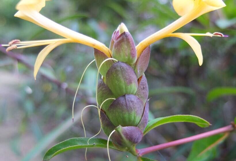 هتل Le Jardin Maore