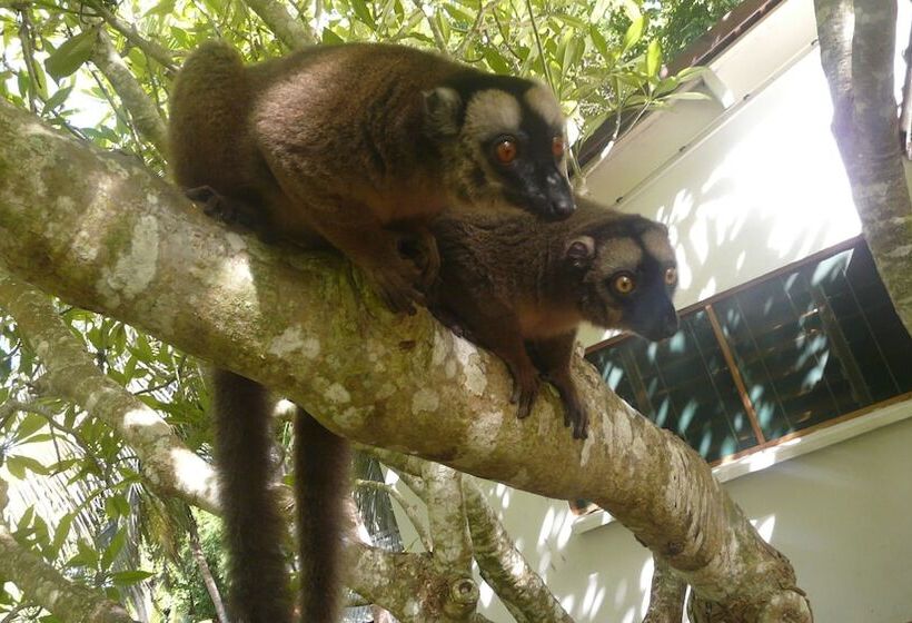 هتل Le Jardin Maore