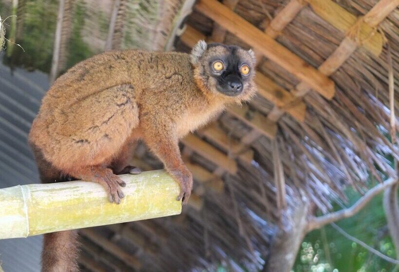 هتل Le Jardin Maore