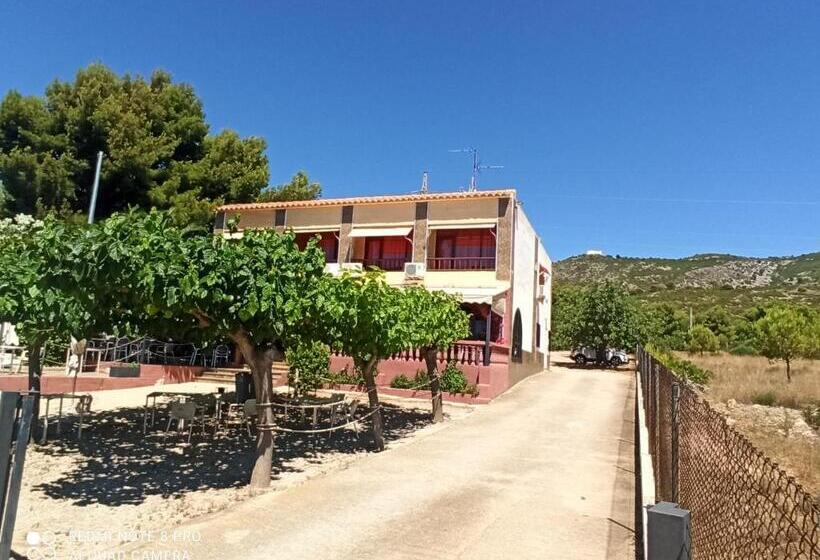 فندق Serra D írta