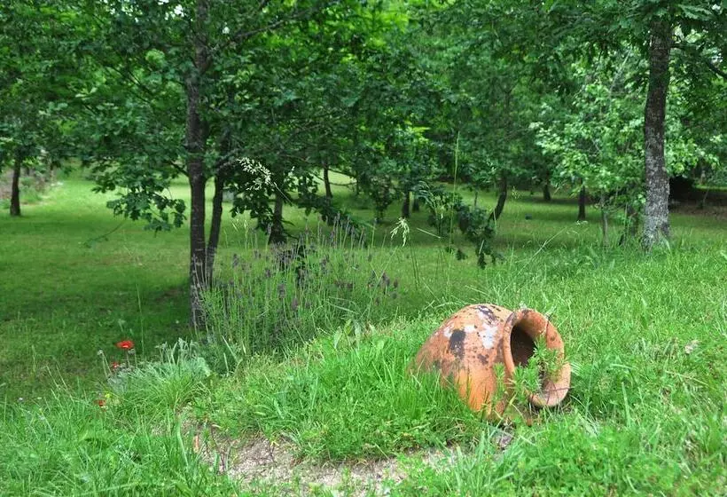ペンション Room In B&b   Paradise Is Real At Vale Martinho Rosa