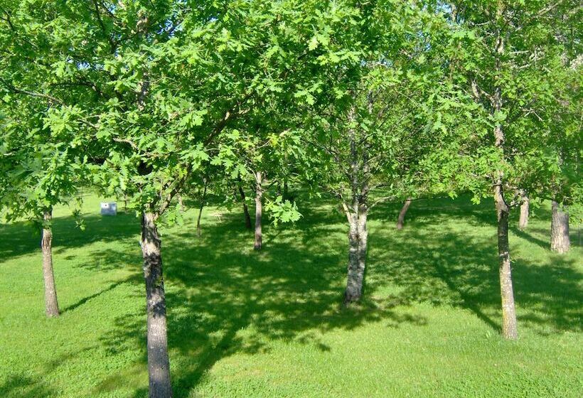 Pensione Room In B&b   Paradise Is Real At Vale Martinho Rosa