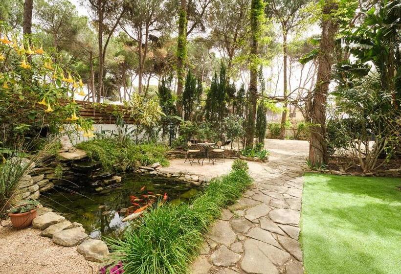 تختخواب و صبحانه La Villetta