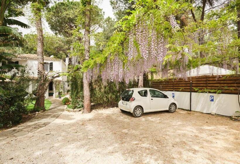 تختخواب و صبحانه La Villetta