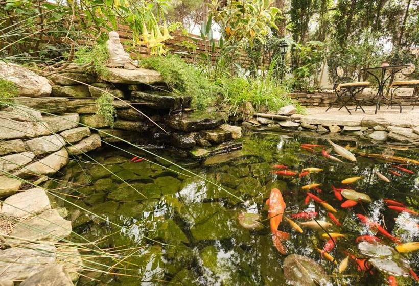 تختخواب و صبحانه La Villetta