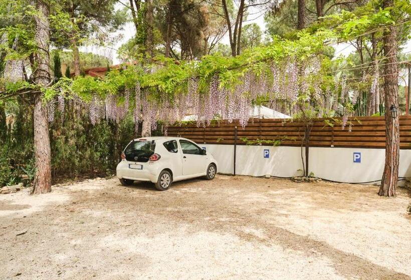 تختخواب و صبحانه La Villetta