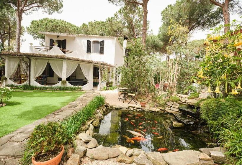 تختخواب و صبحانه La Villetta