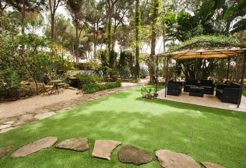 تختخواب و صبحانه La Villetta