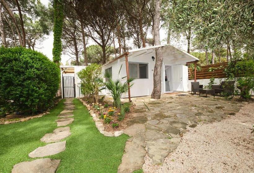 تختخواب و صبحانه La Villetta