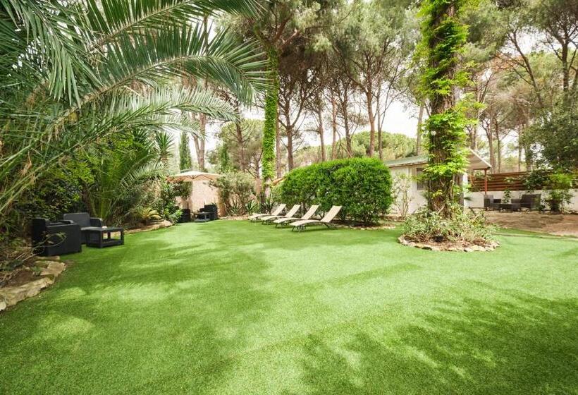 تختخواب و صبحانه La Villetta