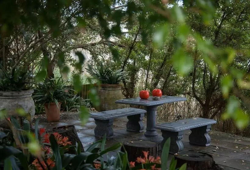 تختخواب و صبحانه Serendipity Country House & Restaurant
