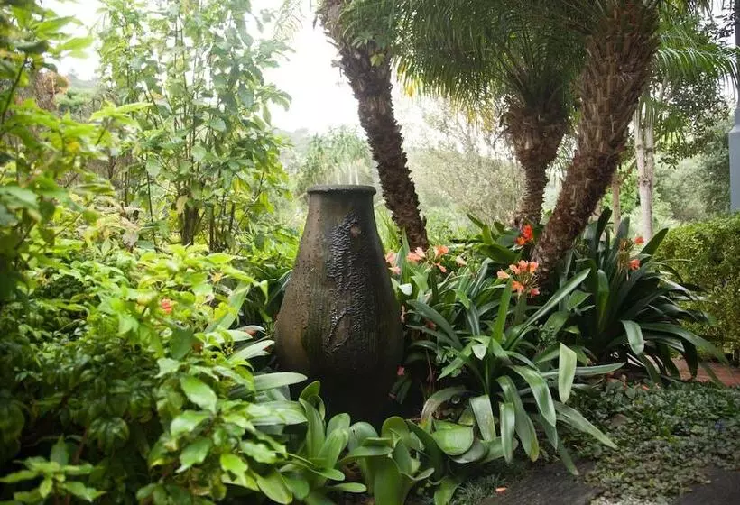 تختخواب و صبحانه Serendipity Country House & Restaurant