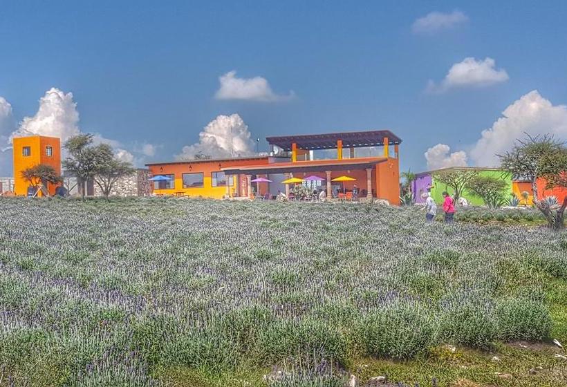 Fotos del hotel El Macehual:  12