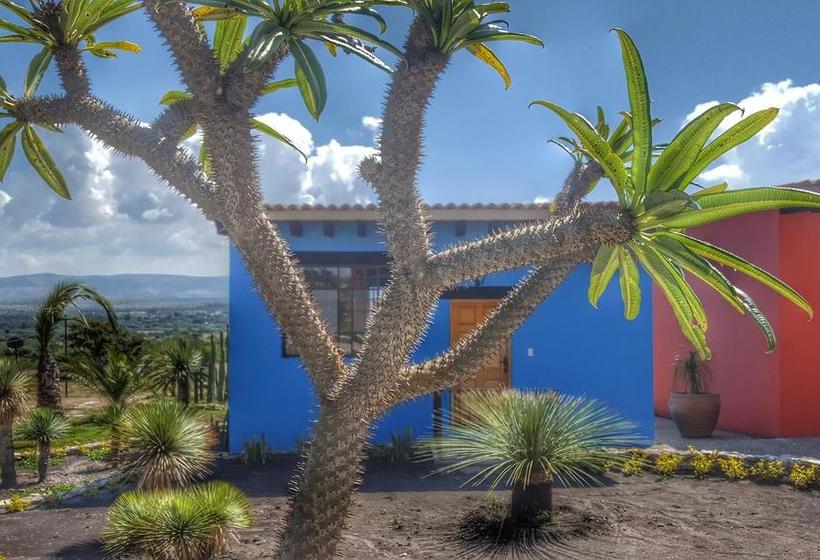 Fotos del hotel El Macehual:  19