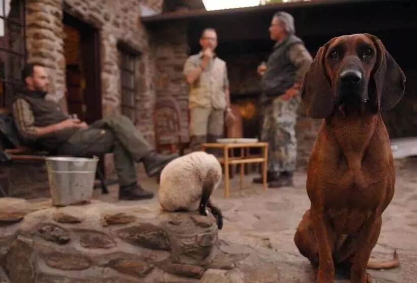 هتل Leopard Lodge