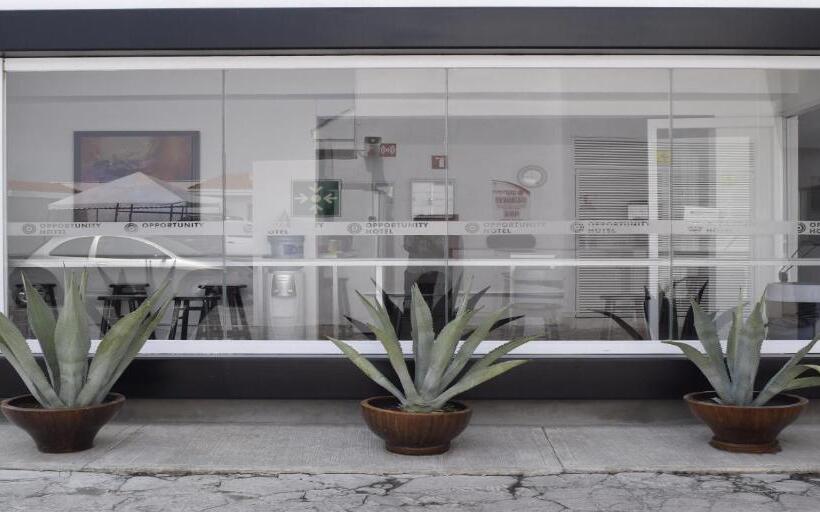 Hotel Opportunity León