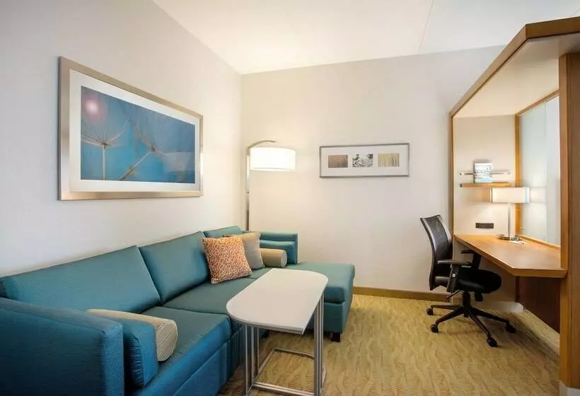 Hotelli Springhill Suites By Marriott Mount Laurel