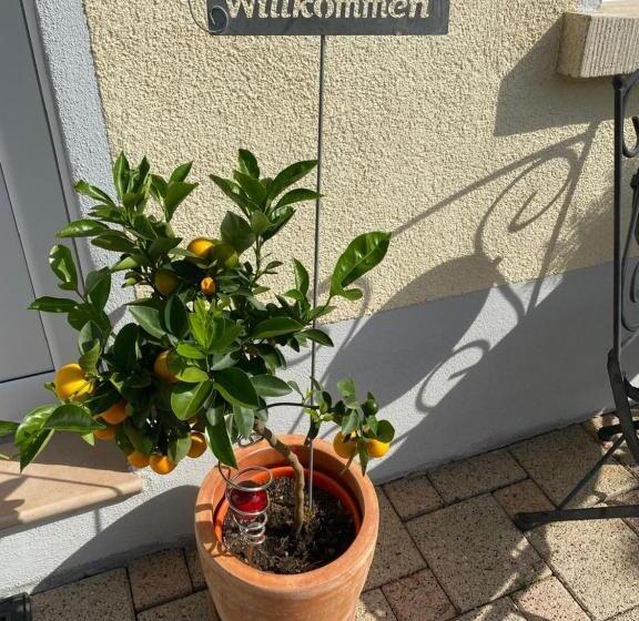 膳宿费 Gästehaus Und Ferienwohnung Bächle