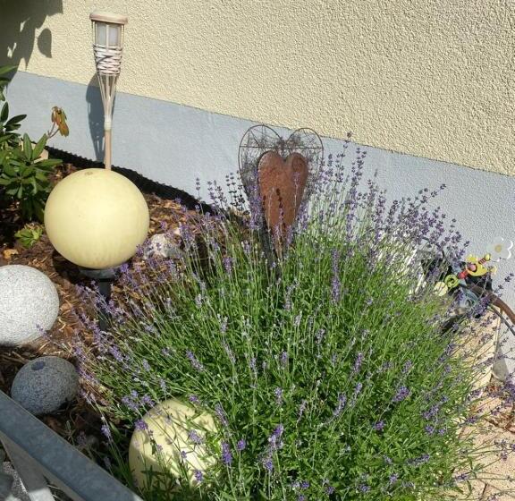 膳宿费 Gästehaus Und Ferienwohnung Bächle