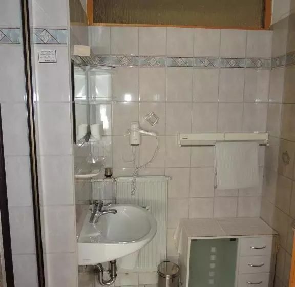 ペンション Gästehaus Und Ferienwohnung Bächle