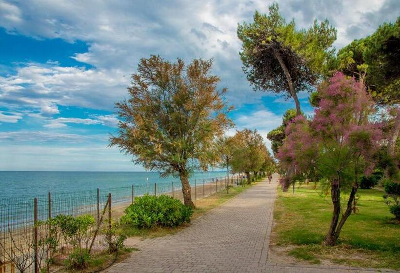 호텔 Albergo Il Veliero