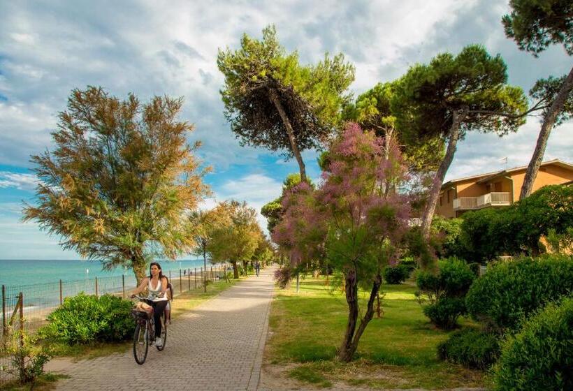 호텔 Albergo Il Veliero