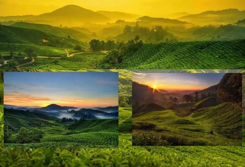 ペンション Studio Cameron Highlands Mikayla