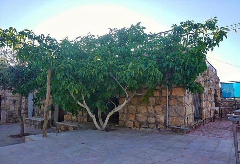 تختخواب و صبحانه Al Karak Countryside And