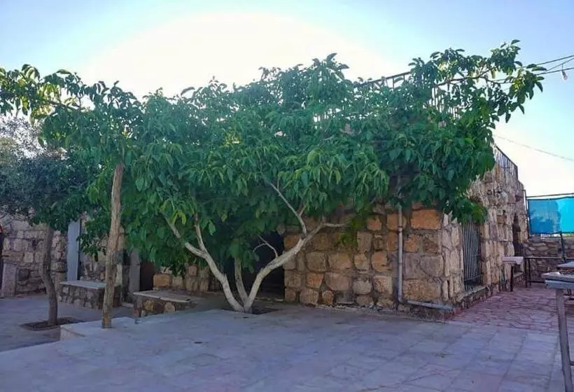 تختخواب و صبحانه Al Karak Countryside And