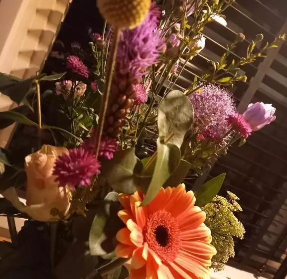 Aamiaismajoitus (B&B) Jantje Slot Hoeve