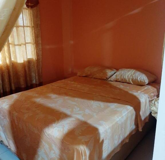 تختخواب و صبحانه Shernette Nest