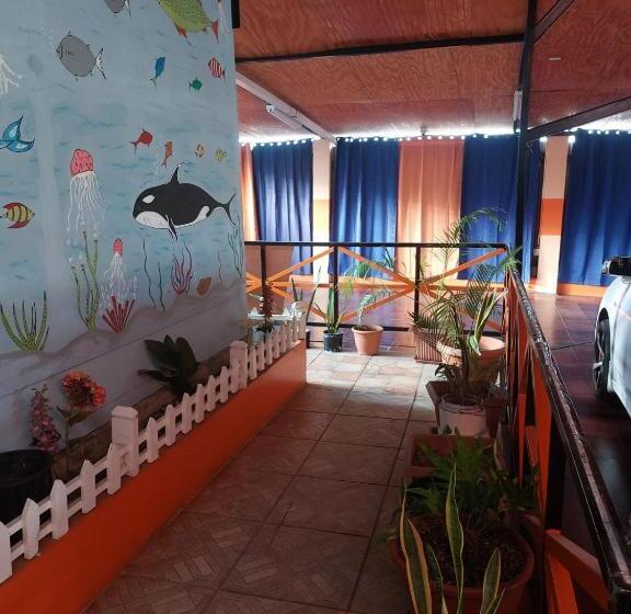 تختخواب و صبحانه Shernette Nest