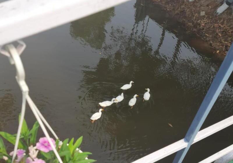 Healthville By Wb Resorts