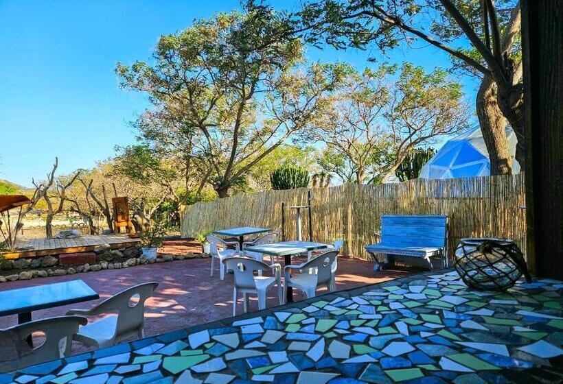 בית מלון כפרי Finca Avestruz Noche Mágica Bajo Las Estrellas