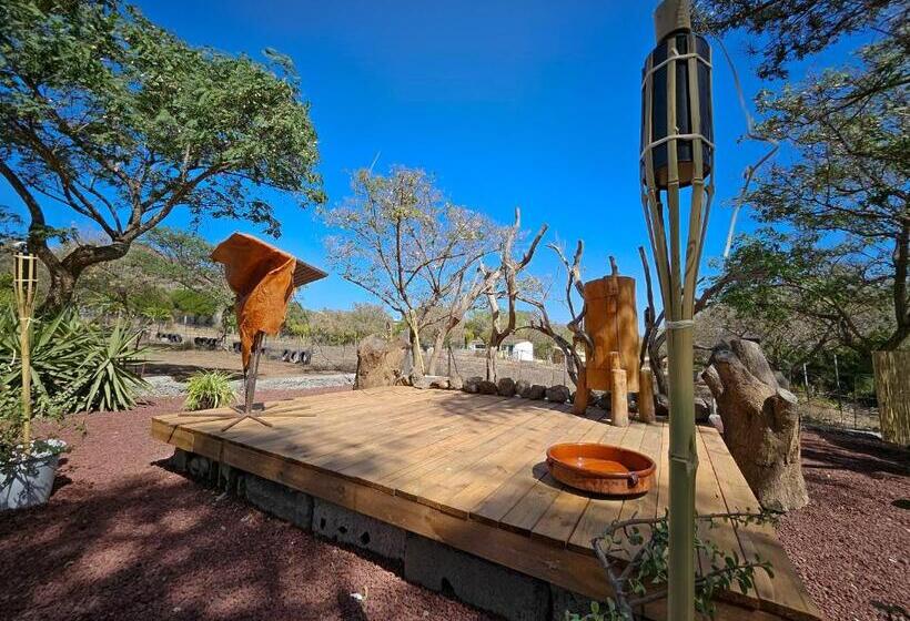 בית מלון כפרי Finca Avestruz Noche Mágica Bajo Las Estrellas