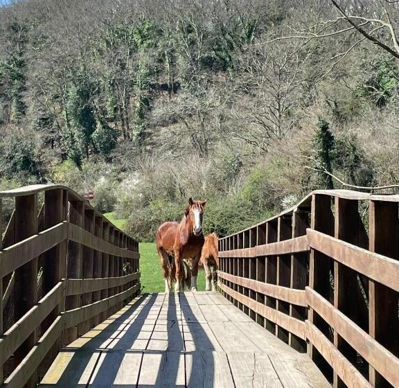 Pensjonat Luxury In The Jungle